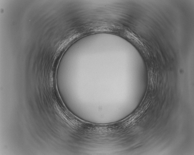 X0000058130298200510171343