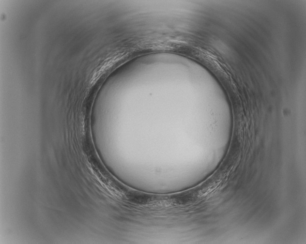 X0000058130299200510171343