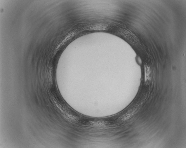 X0000058130300200510171343