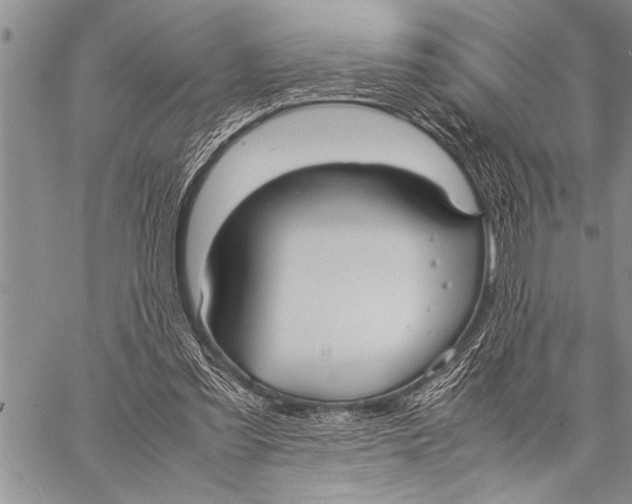 X0000058130301200510171343