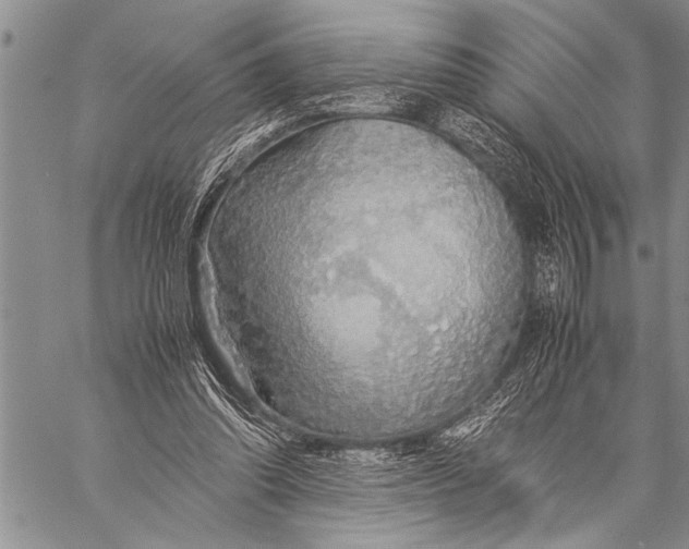 X0000058130302200510171343