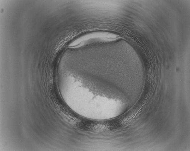 X0000058130303200510171343