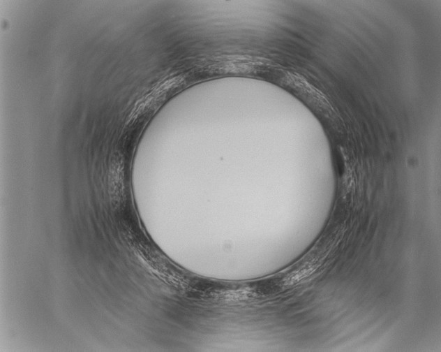 X0000058130306200510171343