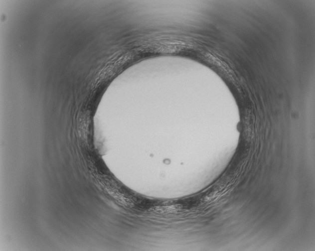 X0000058130307200510171343