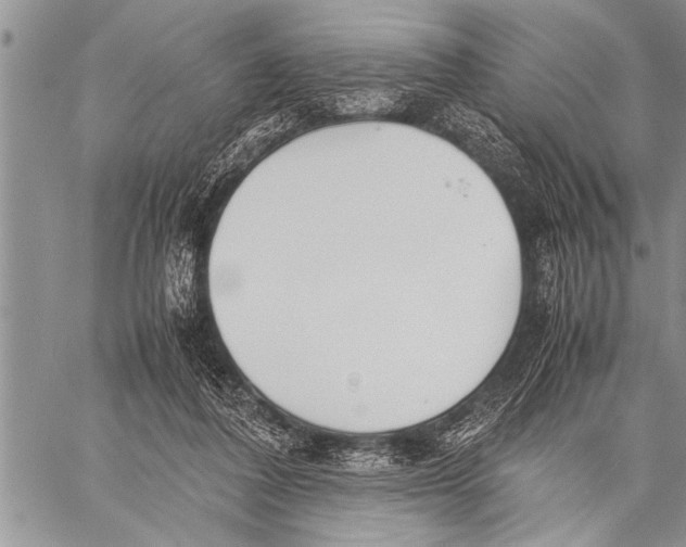 X0000058130308200510171343