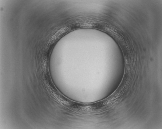 X0000058130309200510171343