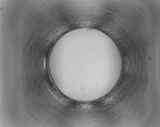 X0000058130310200510171343