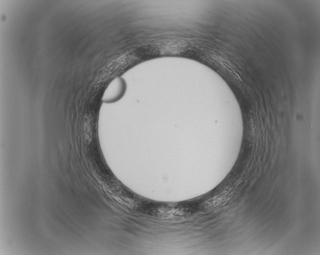 X0000058130311200510171343