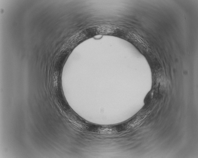 X0000058130315200510171343