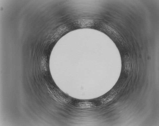 X0000058130316200510171343