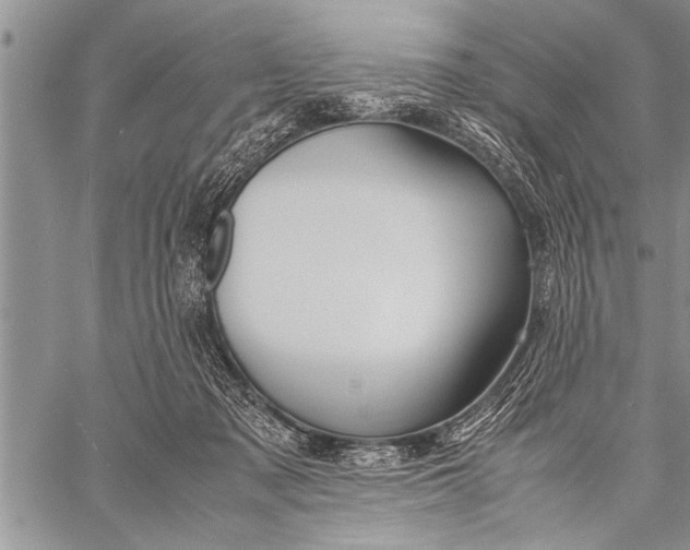 X0000058130317200510171343