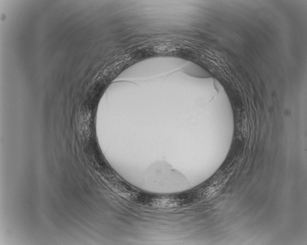 X0000058130319200510171343