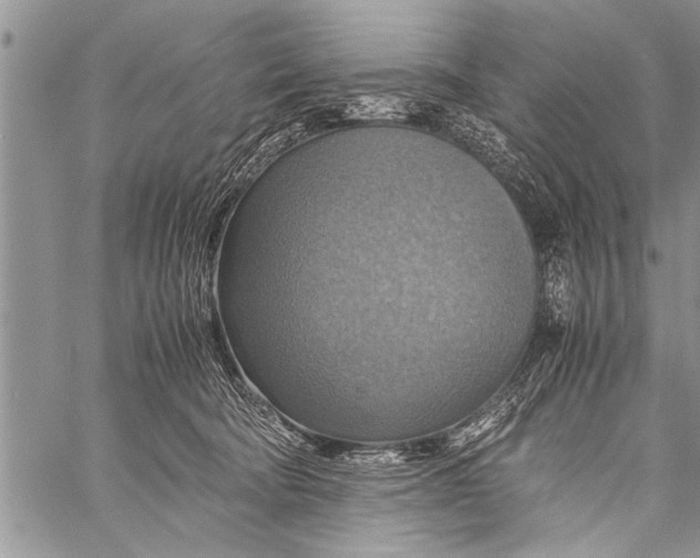 X0000058130322200510171343