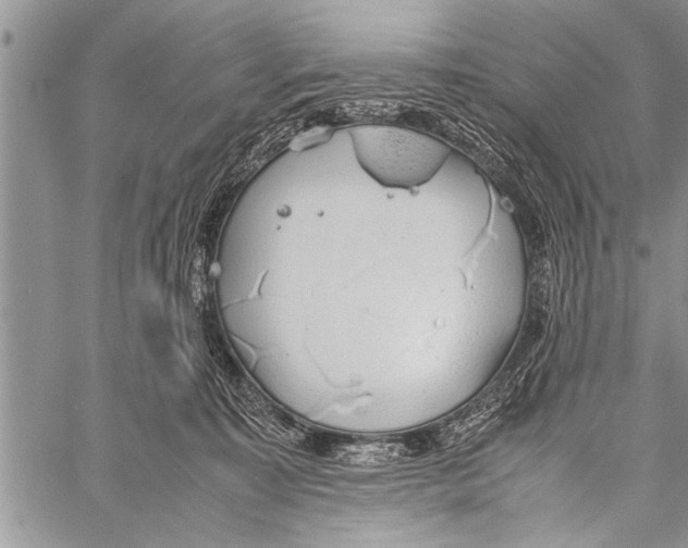 X0000058130323200510171343