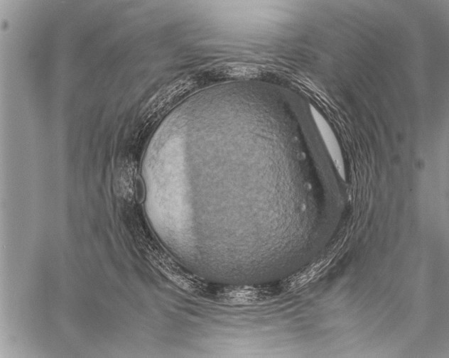 X0000058130325200510171343