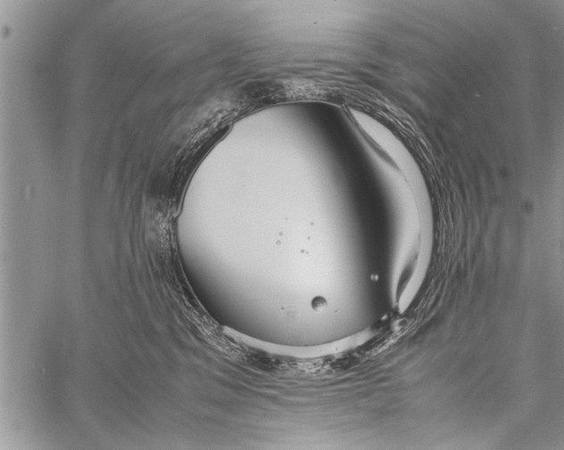 X0000058130329200510171343