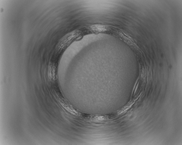 X0000058130330200510171343