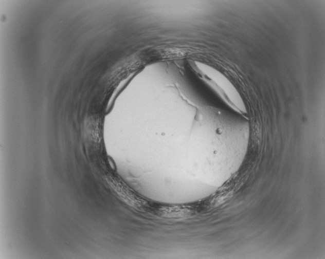 X0000058130331200510171343