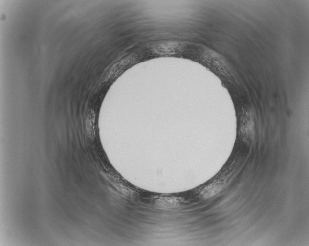 X0000058130332200510171343