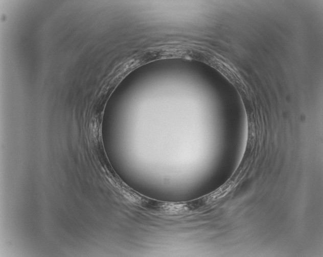 X0000058130333200510171343