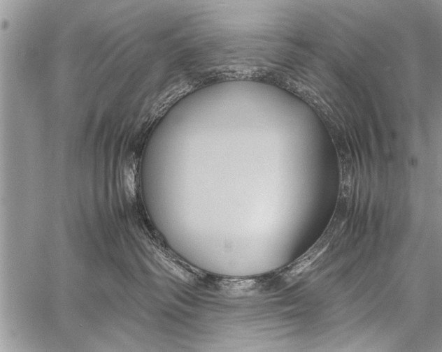 X0000058130334200510171343