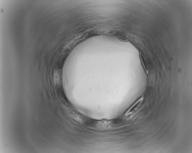 X0000058130335200510171343