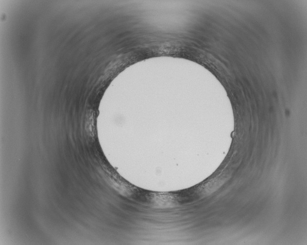 X0000058130336200510171343