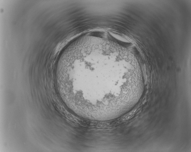 X0000058130337200510171342