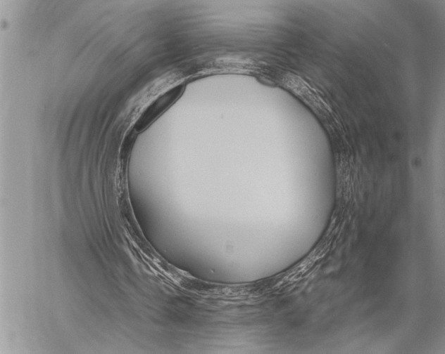 X0000058130338200510171342