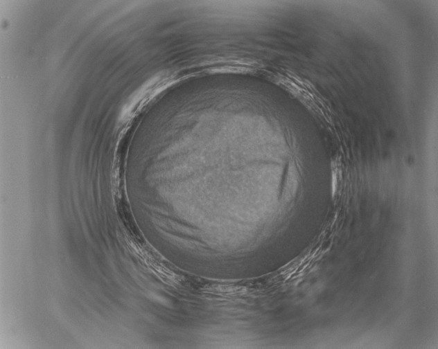 X0000058130339200510171342