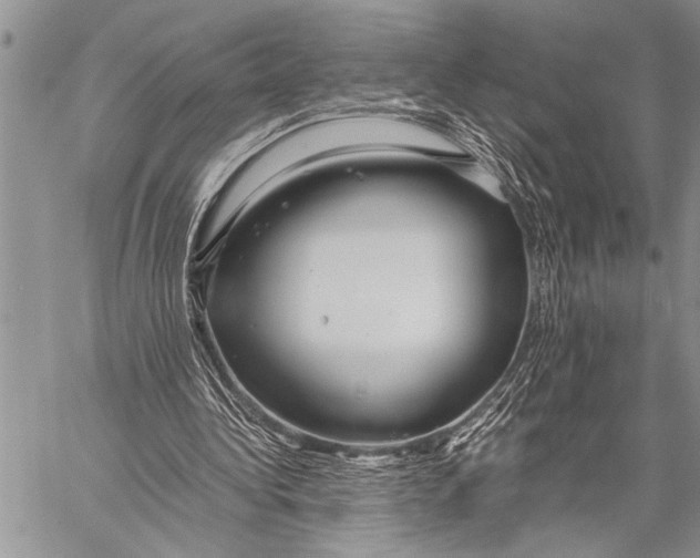 X0000058130340200510171342