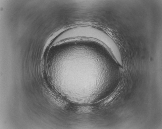 X0000058130342200510171342