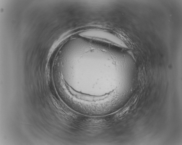 X0000058130343200510171342