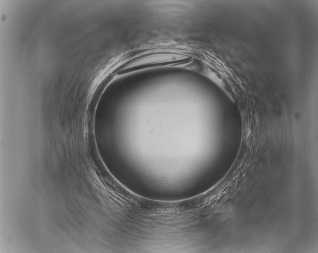 X0000058130344200510171342