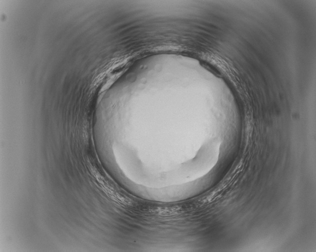 X0000058130345200510171342