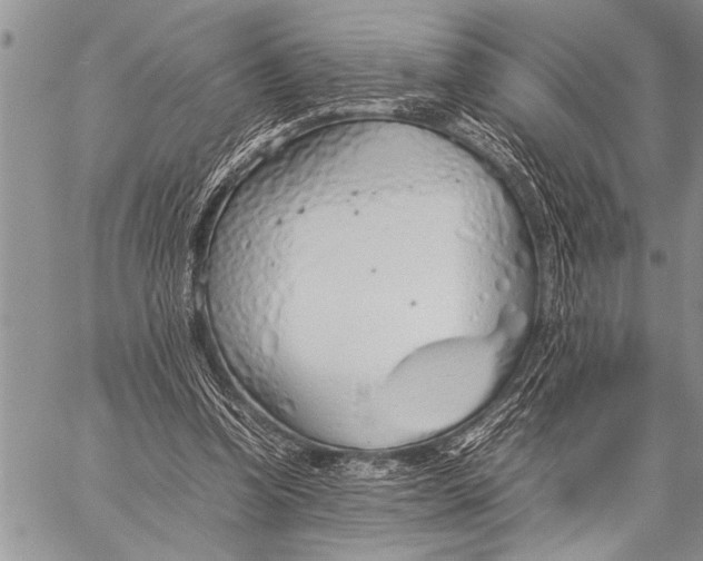 X0000058130346200510171342