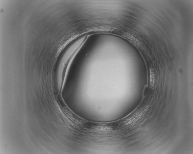 X0000058130348200510171342