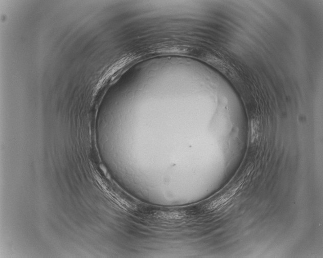 X0000058130349200510171342