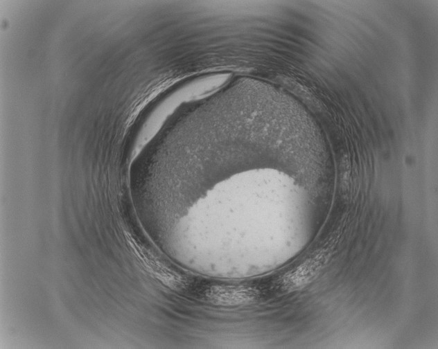 X0000058130351200510171342