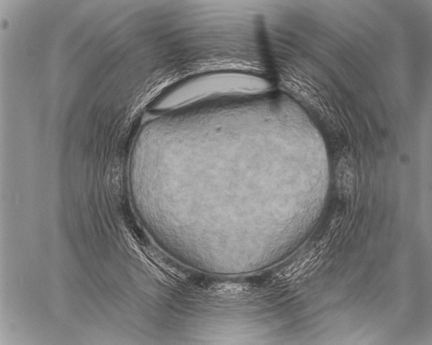 X0000058130352200510171342