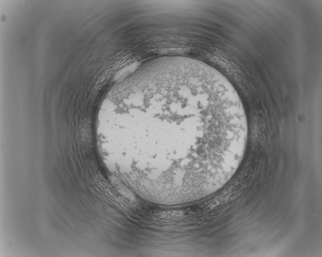 X0000058130353200510171342