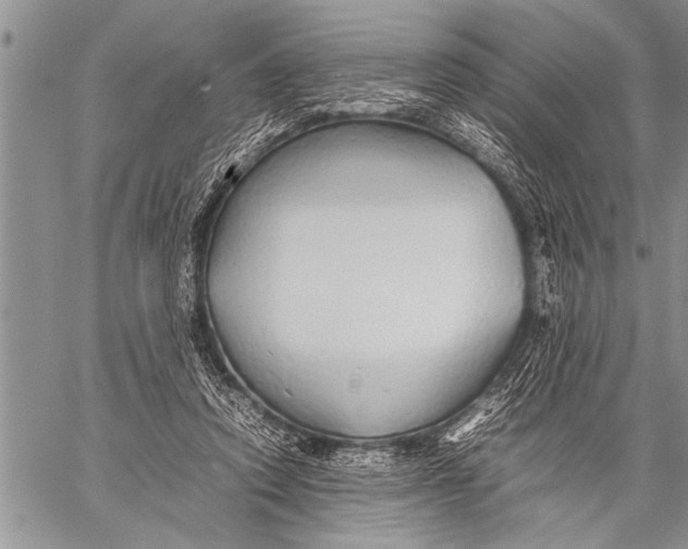 X0000058130354200510171342