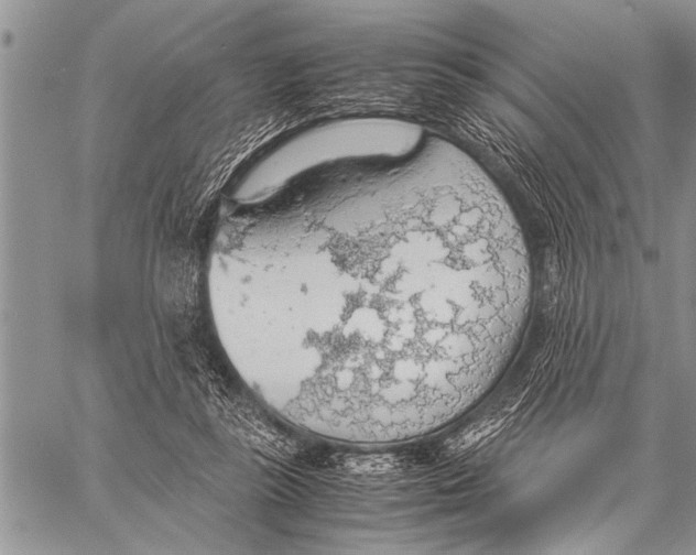 X0000058130355200510171342