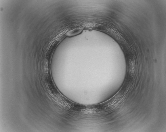 X0000058130356200510171342