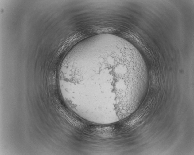 X0000058130357200510171342