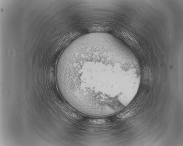 X0000058130361200510171342