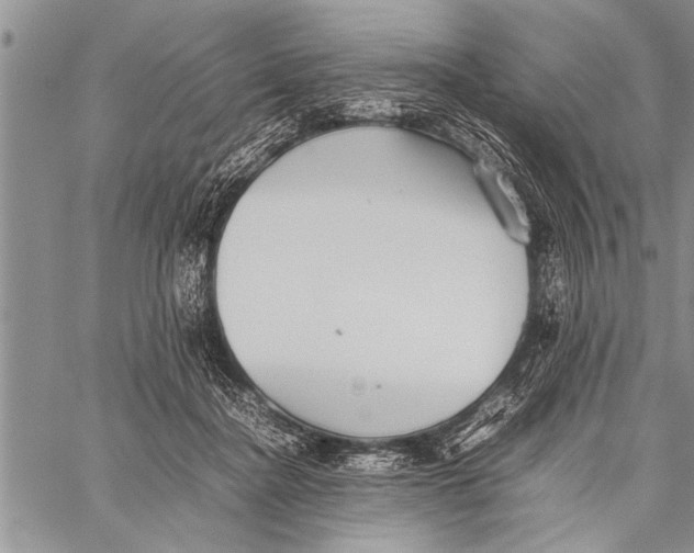 X0000058130364200510171342