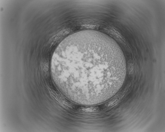 X0000058130365200510171342