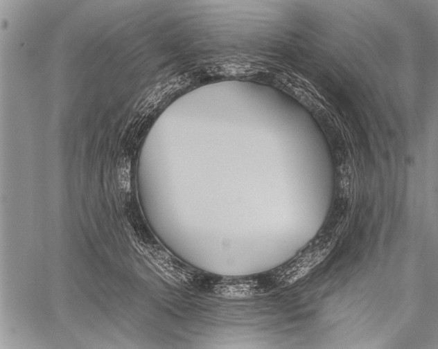 X0000058130368200510171342