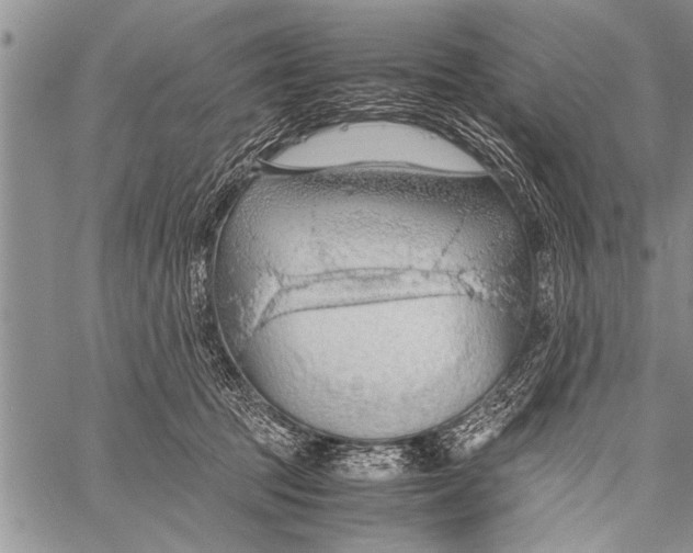 X0000058130369200510171342